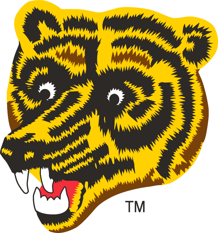 Boston Bruins 1976-1995 Alternate Logo iron on transfers for T-shirts